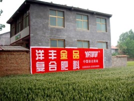 丹江口如何让墙体广告展现最大化效果